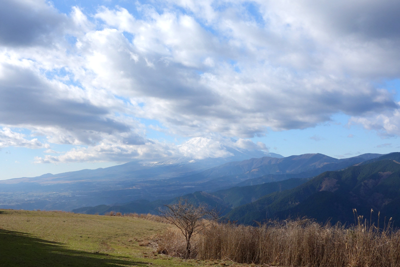 b0325549_11085203.jpg