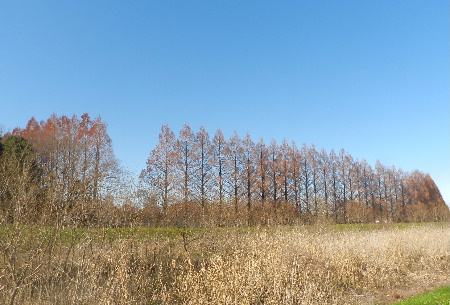 e0172950_19174051.jpg