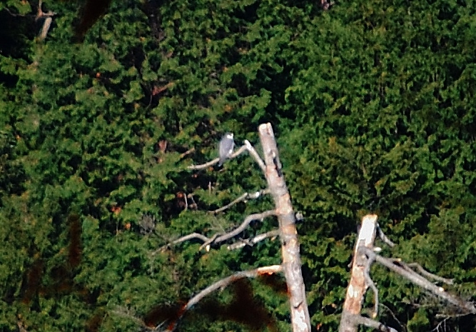 f0161757_1812631.jpg