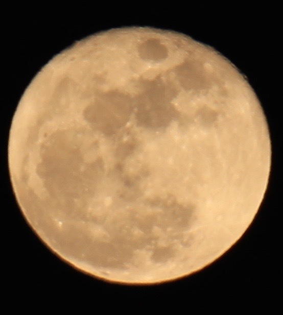 a0248459_16004730.jpg