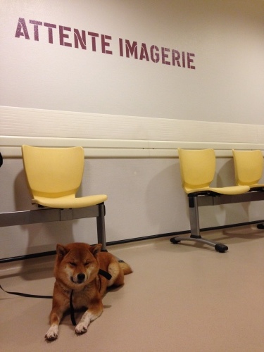 a0258463_23534839.jpeg
