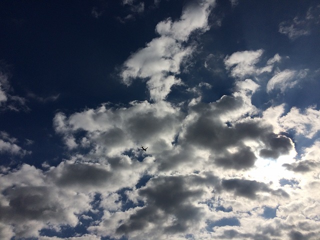 息抜き_b0117564_23264442.jpg