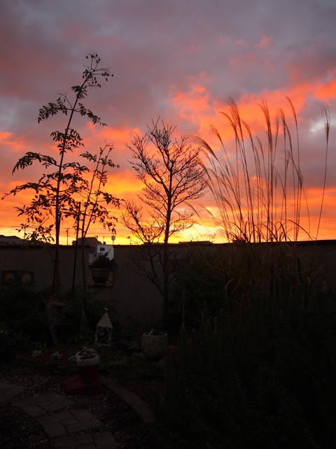 b0194267_1043425.jpg