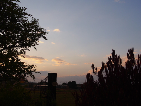 b0194267_9545991.jpg