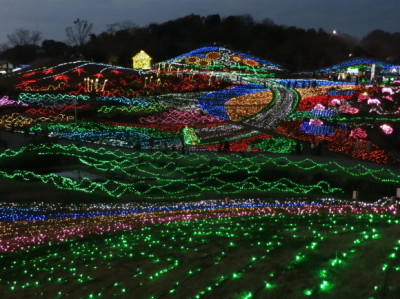 こんぴらさん と まんのう公園 ②_e0012580_00062845.jpg