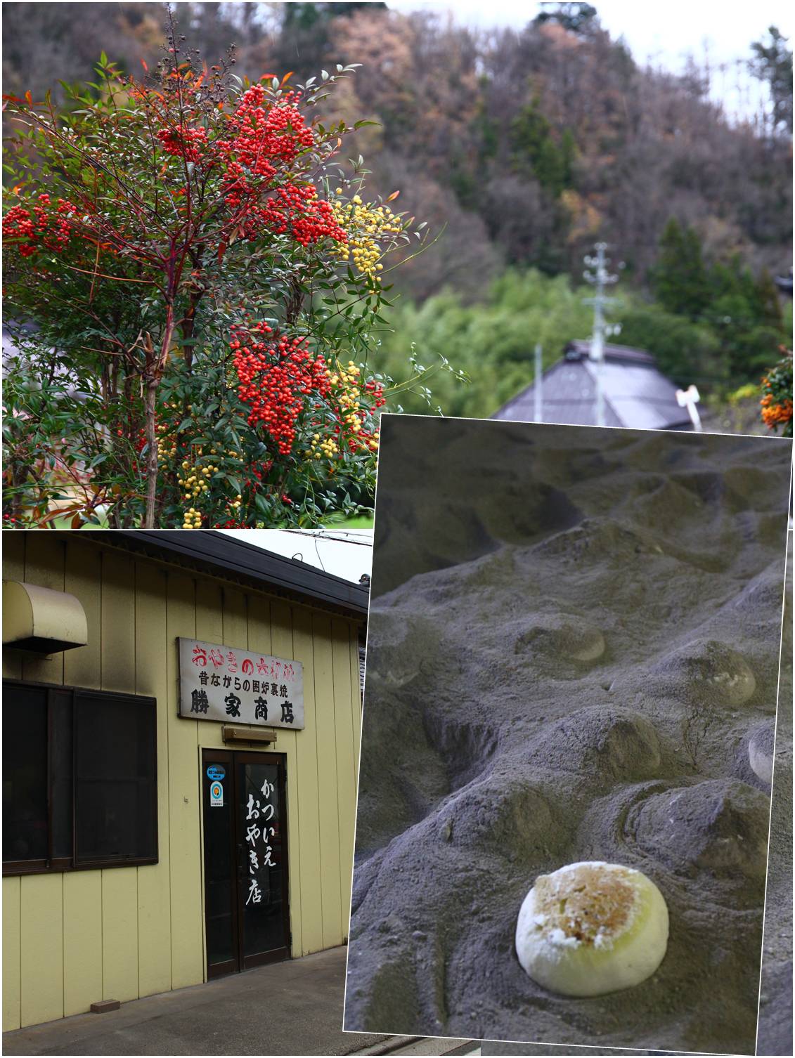 長野おやき旅 2015_a0107981_205432100.jpg
