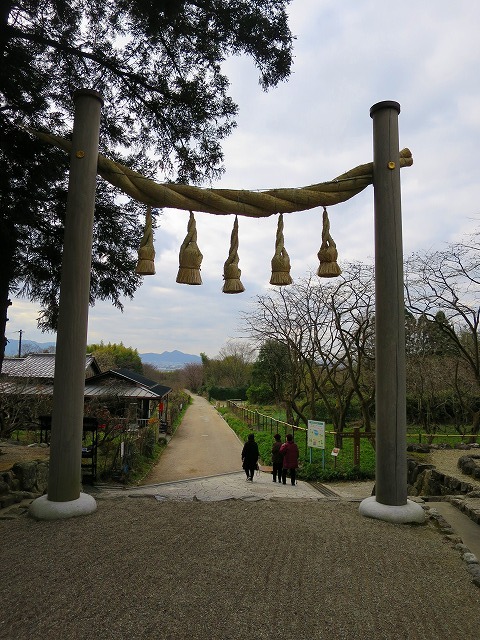 b0326483_22595916.jpg