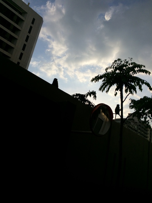 f0189987_205358.jpg