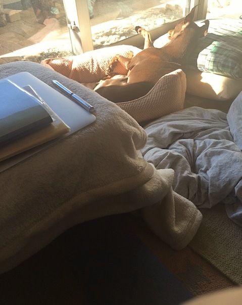 d0343297_12282661.jpeg