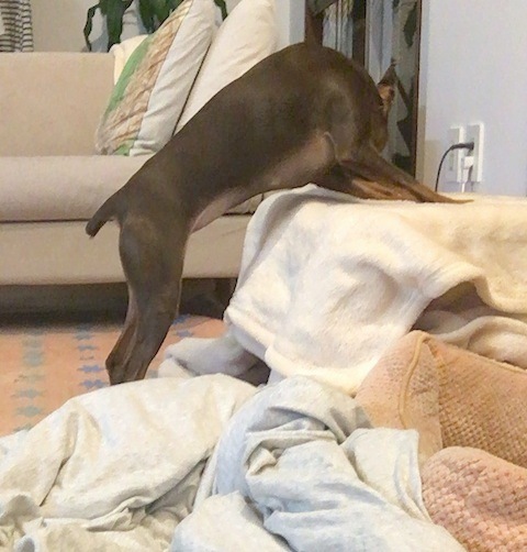 d0343297_12372002.jpeg