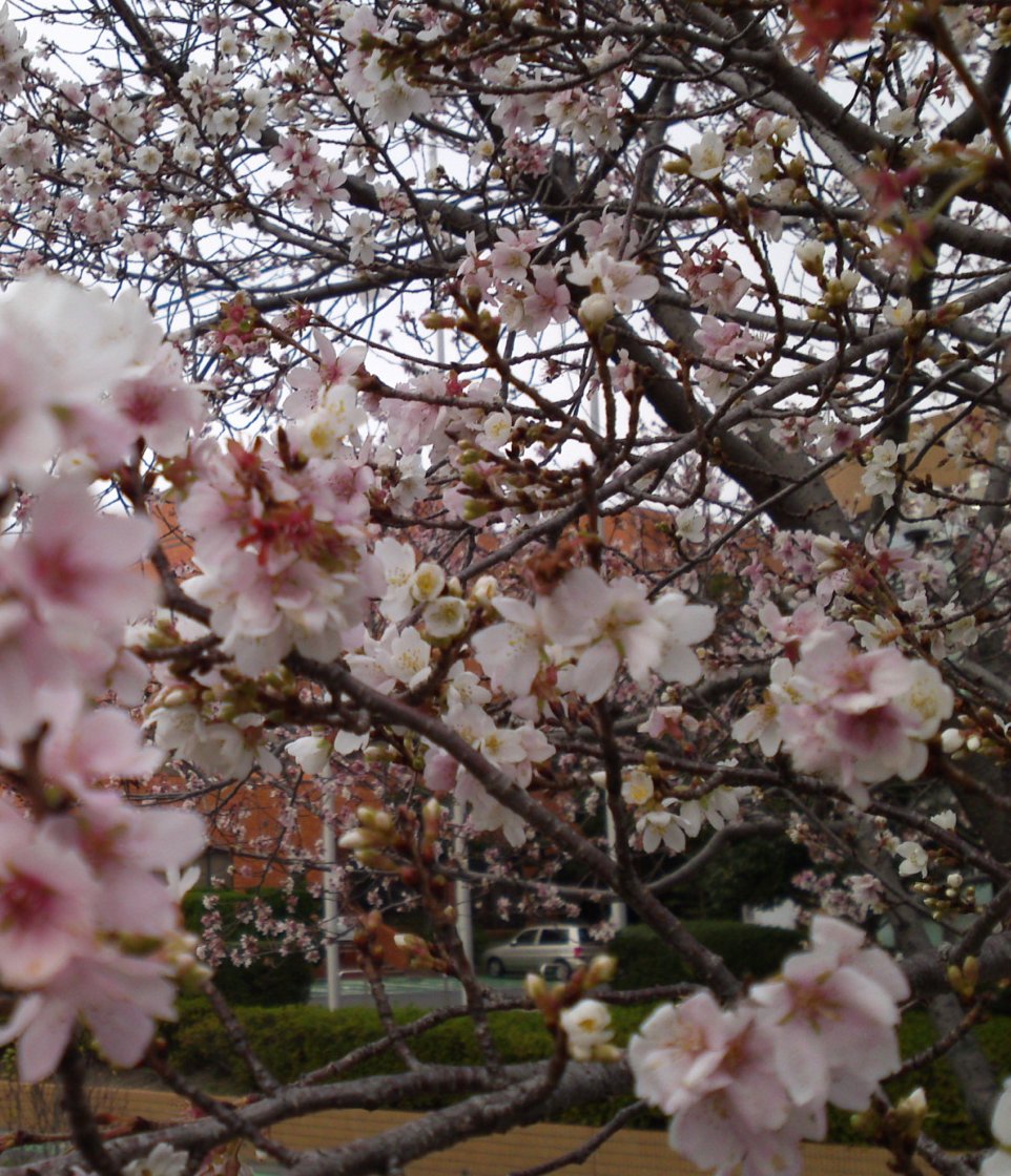 a0031000_2152035.jpg