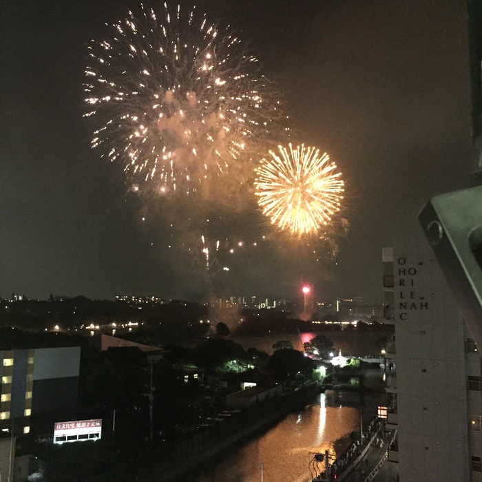 2015年の写真 その2 (さきほどの記事の続きです。)_d0116009_1931774.jpg
