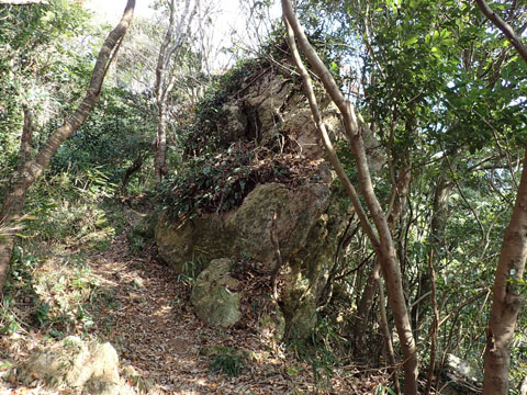 e0293913_8223425.jpg