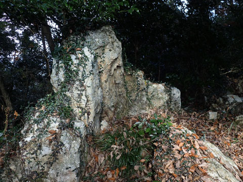 e0293913_8232542.jpg