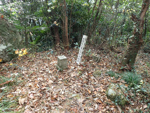 e0293913_8243086.jpg