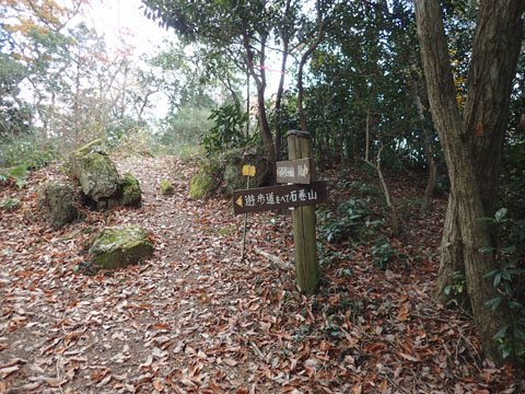e0293913_8293615.jpg