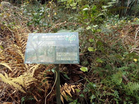 e0293913_8304254.jpg