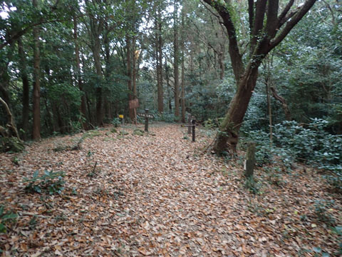 e0293913_8431623.jpg