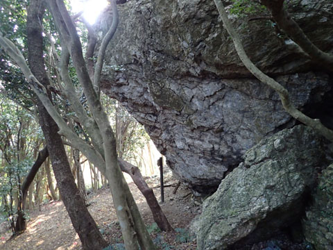 e0293913_95121.jpg