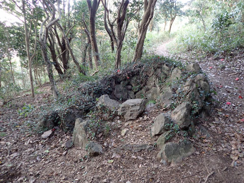 e0293913_971750.jpg