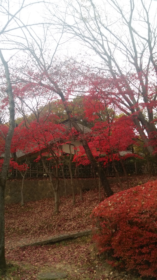 a0211315_15930.jpg