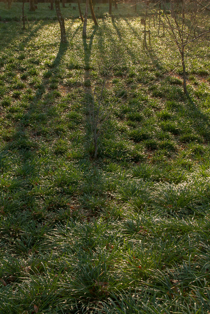 b0010915_23505165.jpg
