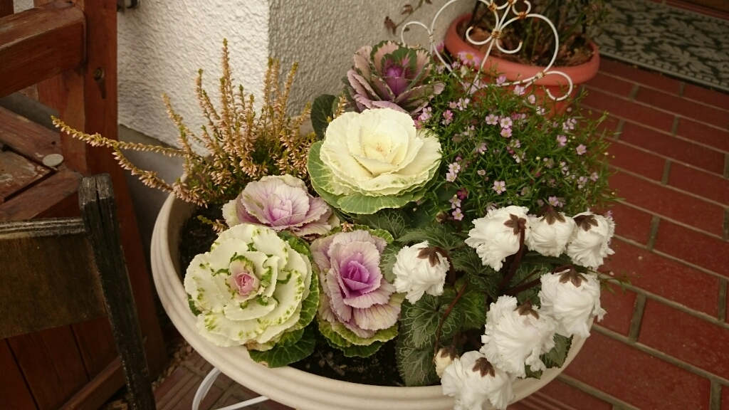 e0263224_14313718.jpg
