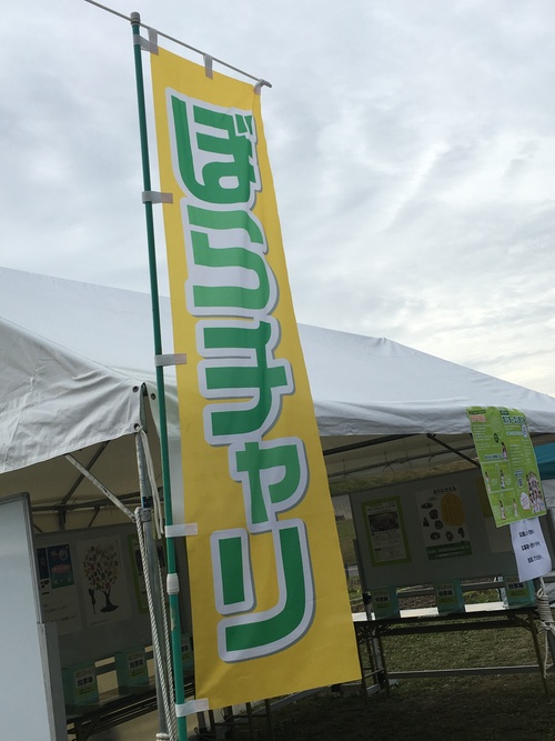 『ぼらチャリRUN2015』 開催されました。_b0146633_1313857.jpg