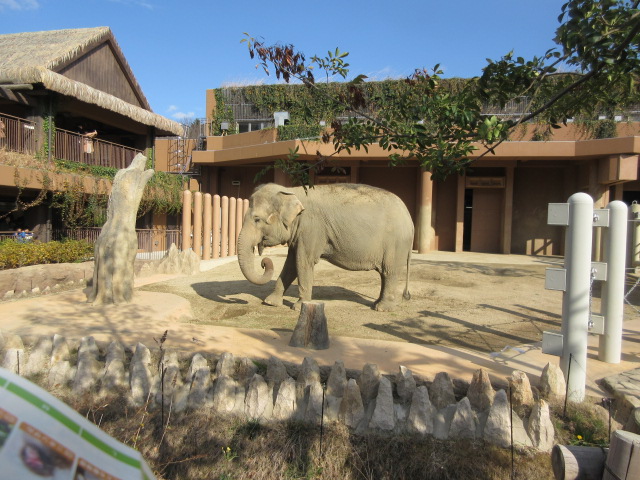e0268437_904227.jpg