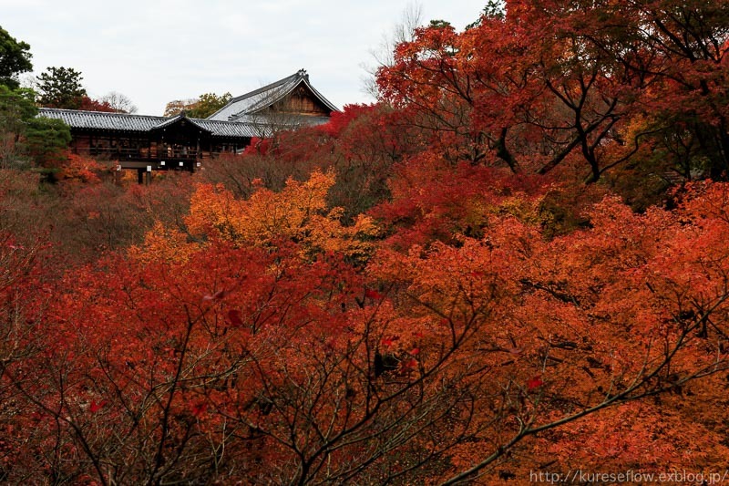 紅葉の光明院_b0325840_22433683.jpg