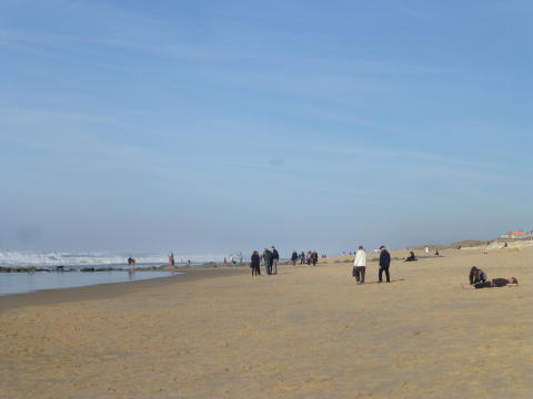 b0296855_20394192.jpg