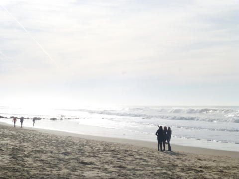 b0296855_20395714.jpg