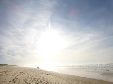 b0296855_20410608.jpg