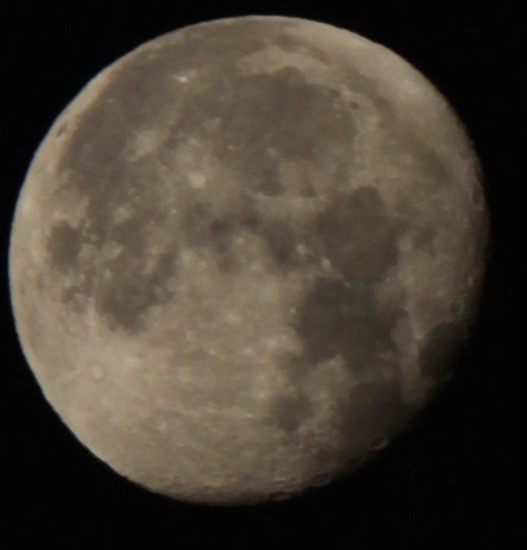 a0248459_16181898.jpg