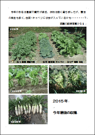 今年最後の野菜収穫になりました_a0331562_23522153.png