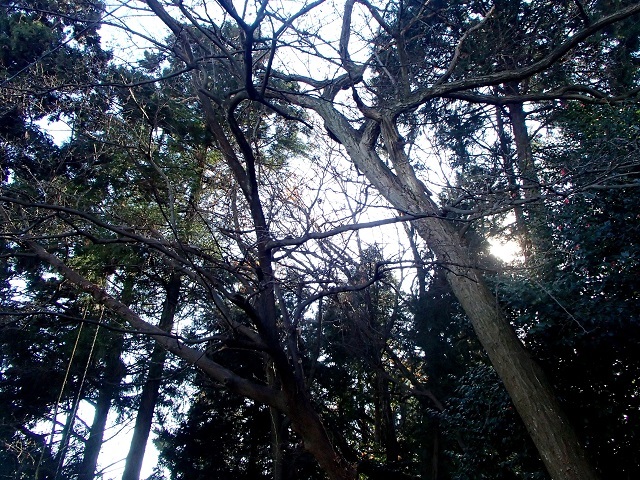 d0105967_19183600.jpg