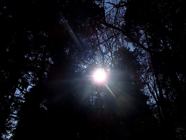 d0105967_19202243.jpg