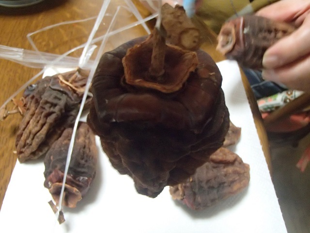 d0105967_19223722.jpg