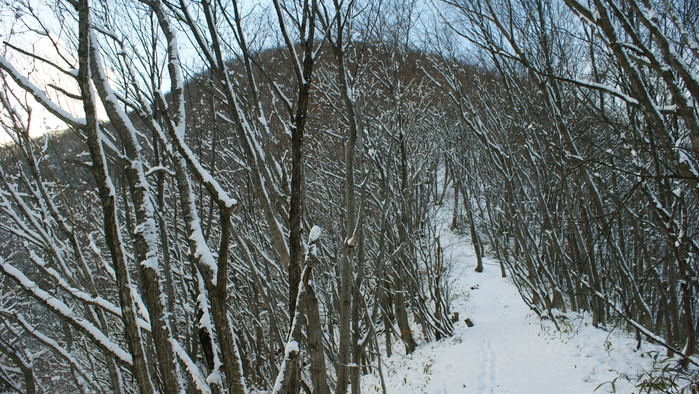 青麻山(31回目) ~ 2015年12月27日_f0170180_20324858.jpg