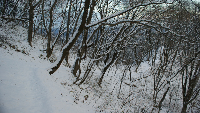 青麻山(31回目) ~ 2015年12月27日_f0170180_2040354.jpg