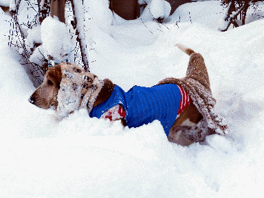 f0205887_10571448.gif