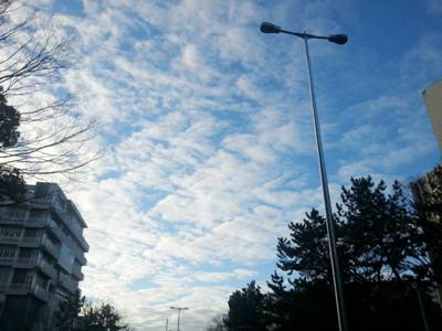 朝の空_d0249193_2215299.jpg