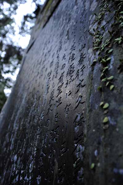 大仁金山神社_f0173596_9163931.jpg