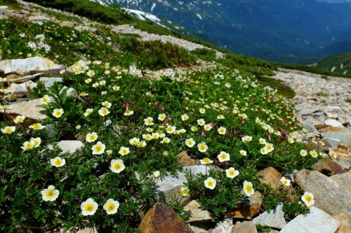 e0304001_20274094.jpg