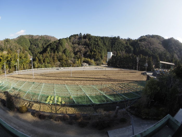 今日も晴れた_c0116915_024549.jpg