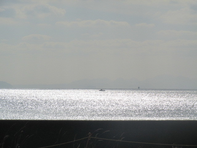 f0341616_16323977.jpg
