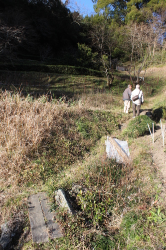 柿でつながる！_b0220318_20014130.jpg