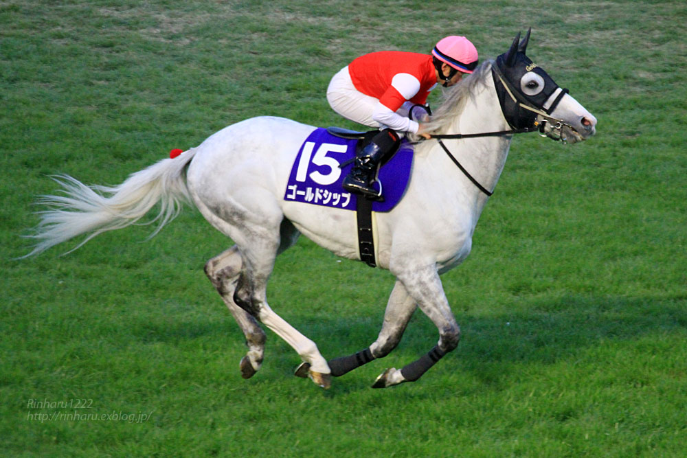2015.12.27 中山競馬場☆有馬記念☆ゴールドシップのラストラン