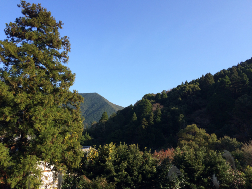 年末年始のお休み_e0103327_21473618.jpg