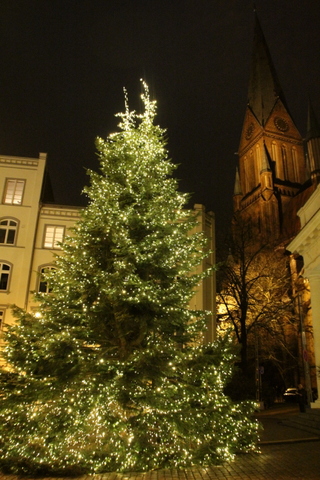 f0210340_6792.jpg